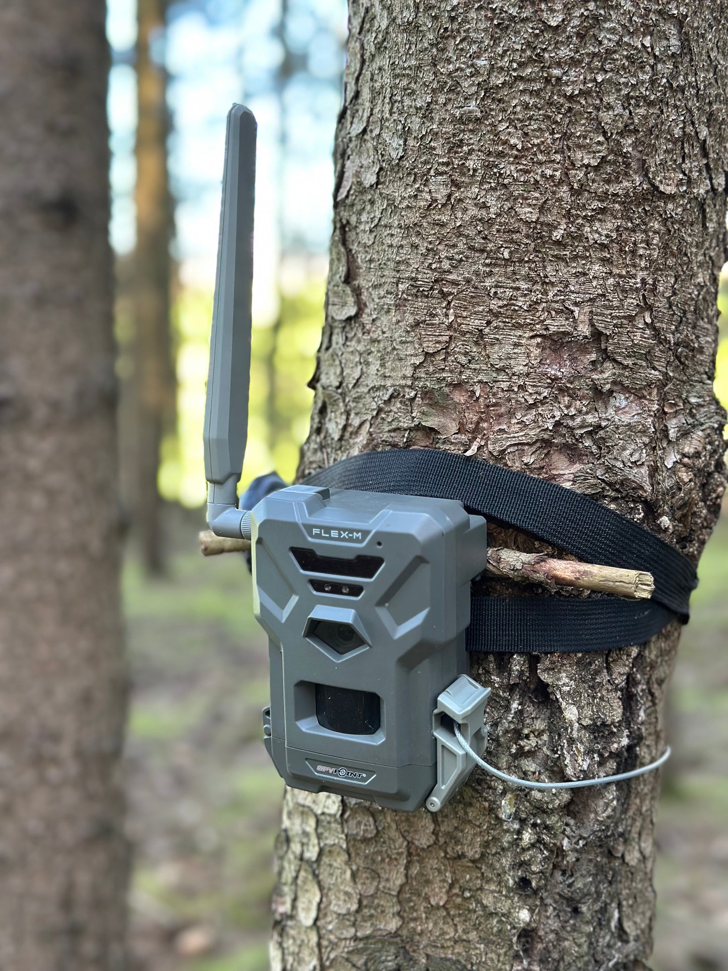 Dach als Regen-/Blendschutz für SPYPOINT FLEX E36 / FLEX M / FLEX PLUS